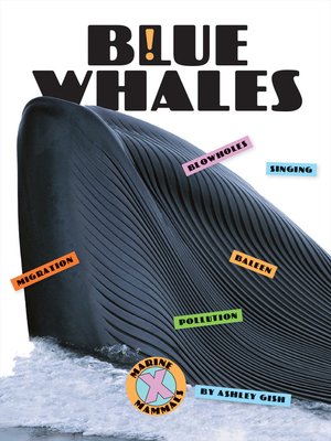cover image of Blue Whales
